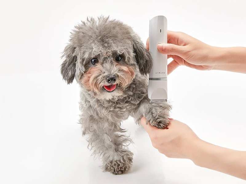 ماشین اصلاح موی حیوانات خانگی شیائومی Xiaopei PK401 2 in 1 pet electric clipper dog shaver