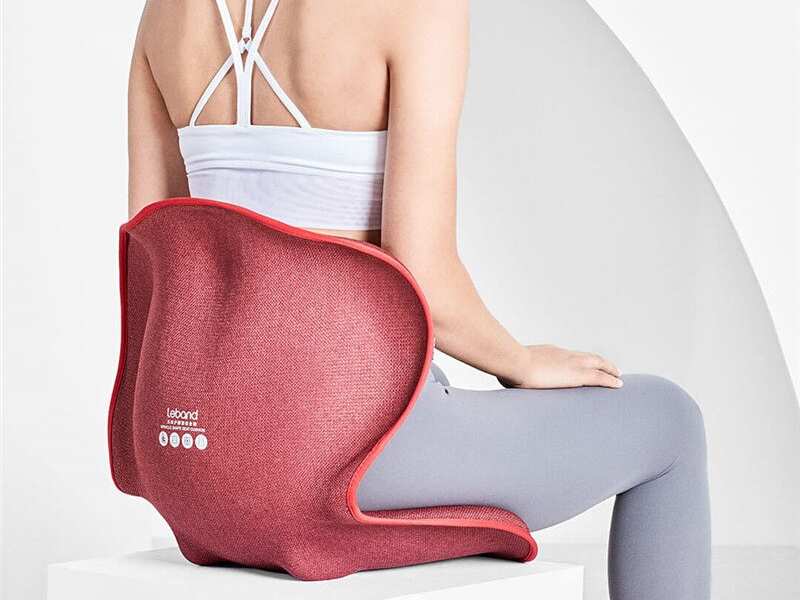 پشتی بالشتک صندلی قابل حمل شیائومی Xiaomi Youpin Portable Seat Cushion Protection LB-HS003