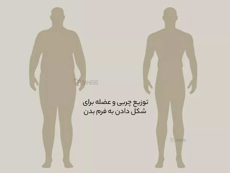 ترازوی هوشمند بادی آنالیز شیائومی Xiaomi Mijia XMTZC01YM Eight Electrode Body Fat Scale