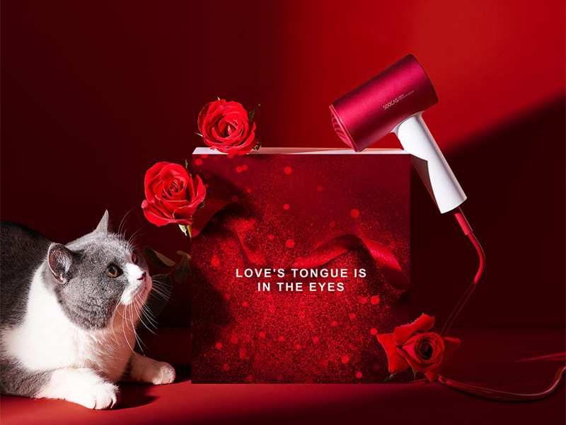 سشوار یون منفی شیائومی Xiaomi Mijia SOOCAS H5 Negative Ion Hair Dryer