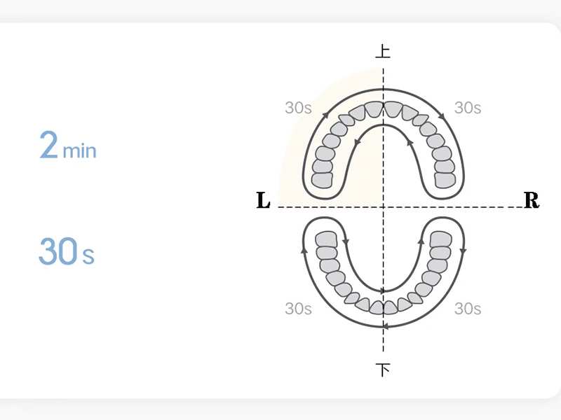 مسواک برقی شیائومی Xiaomi Mijia Sonic Electric Toothbrush T200 MES606