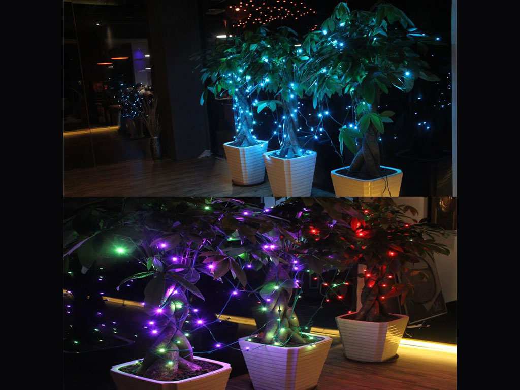 ریسه ال ای دی هوشمند 10 متری مایپو MiPow BTL505 PLAYBULB Smart LED Decor Light