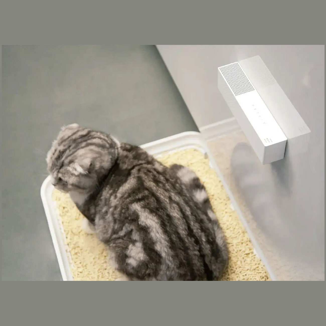 دستگاه بوگیر هوشمند مخصوص حیوانات خانگی شیائومی P920