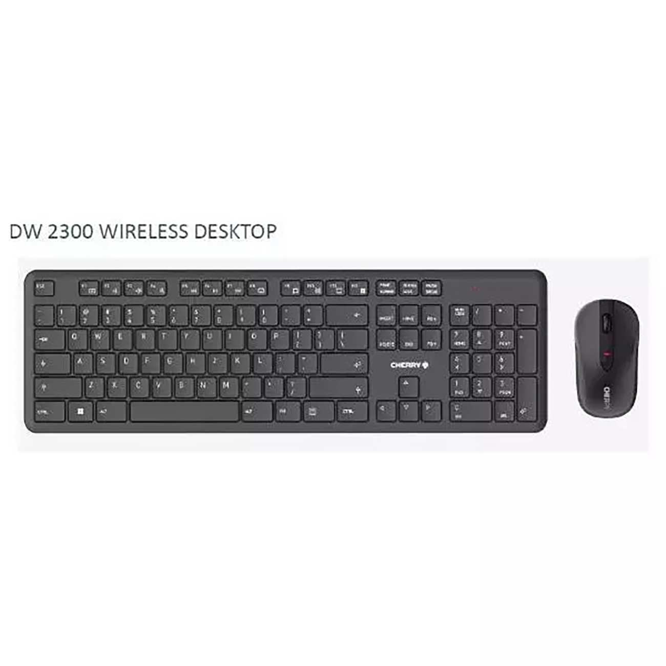 ست موس و کیبورد بی سیم چری DW 2300