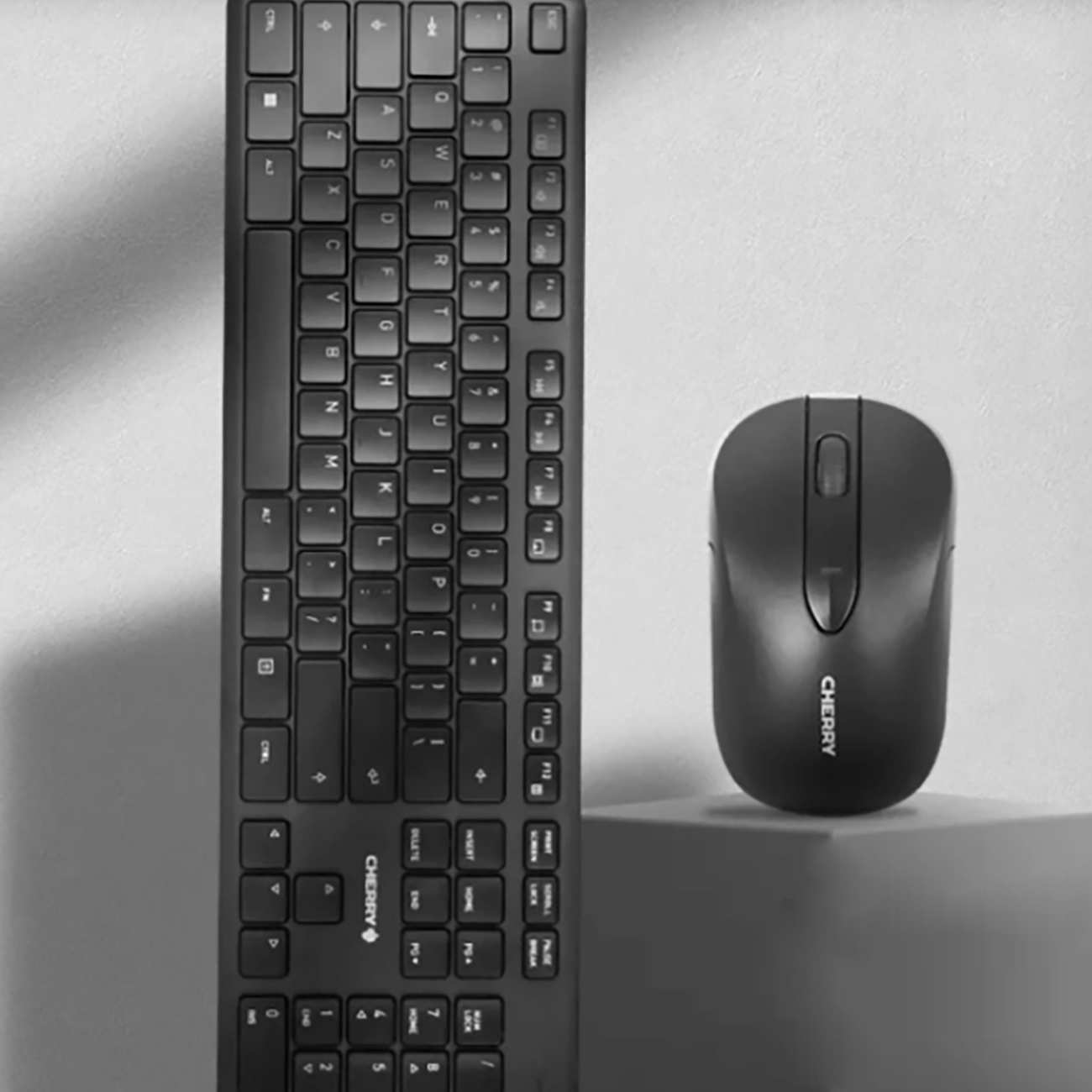 ست موس و کیبورد بی سیم چری DW 2300