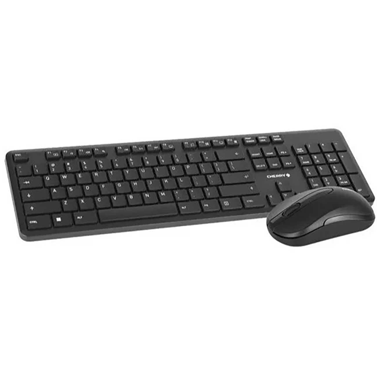 ست موس و کیبورد بی سیم چری DW 2300