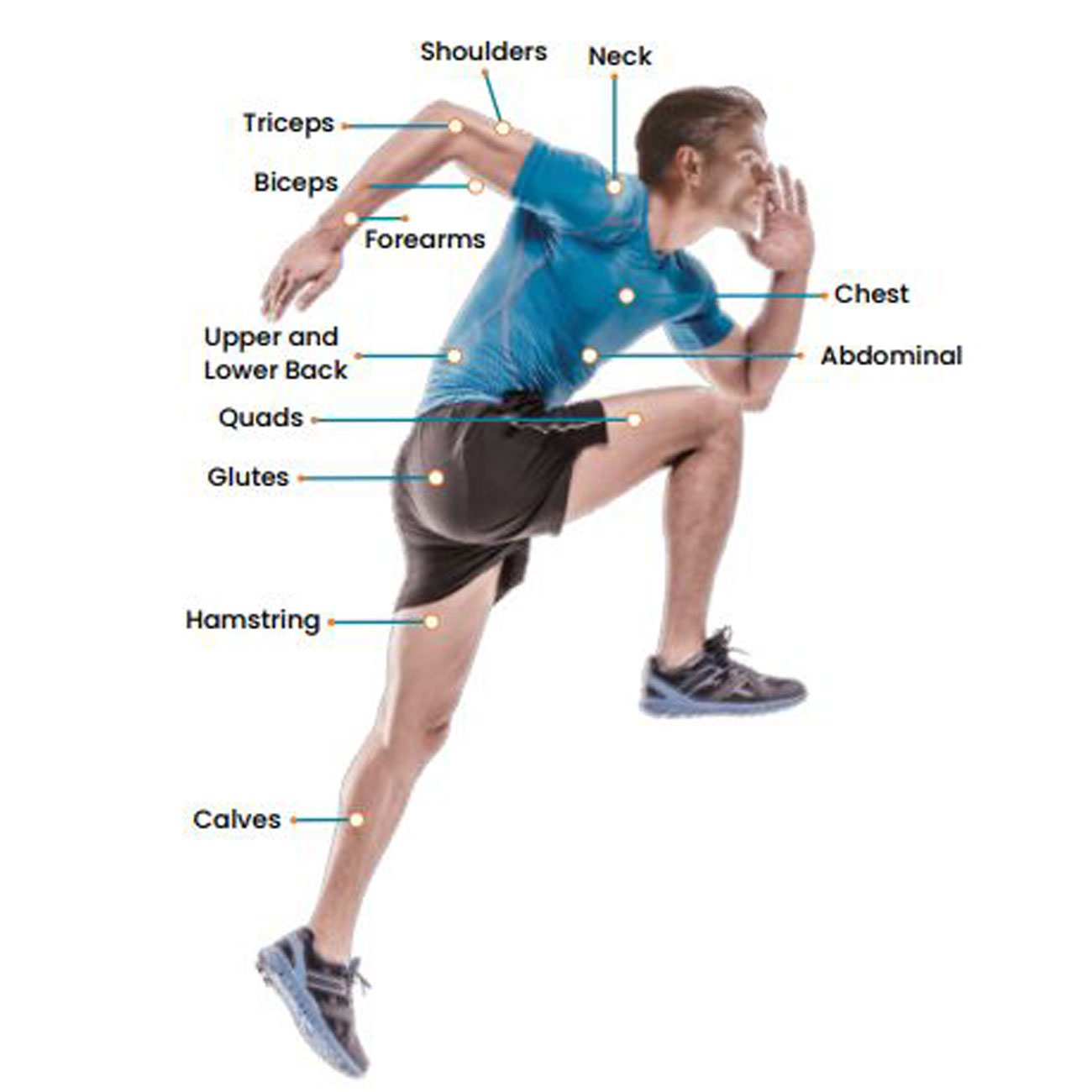 ماساژور تفنگی بدن پاورولوژی PSM002