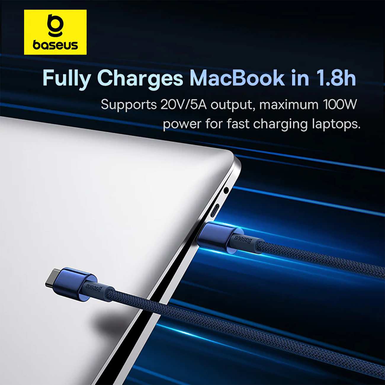 کابل دو سر تایپ سی فست شارژ 100 وات 5 آمپر یک متری بیسوس P10319800321-03