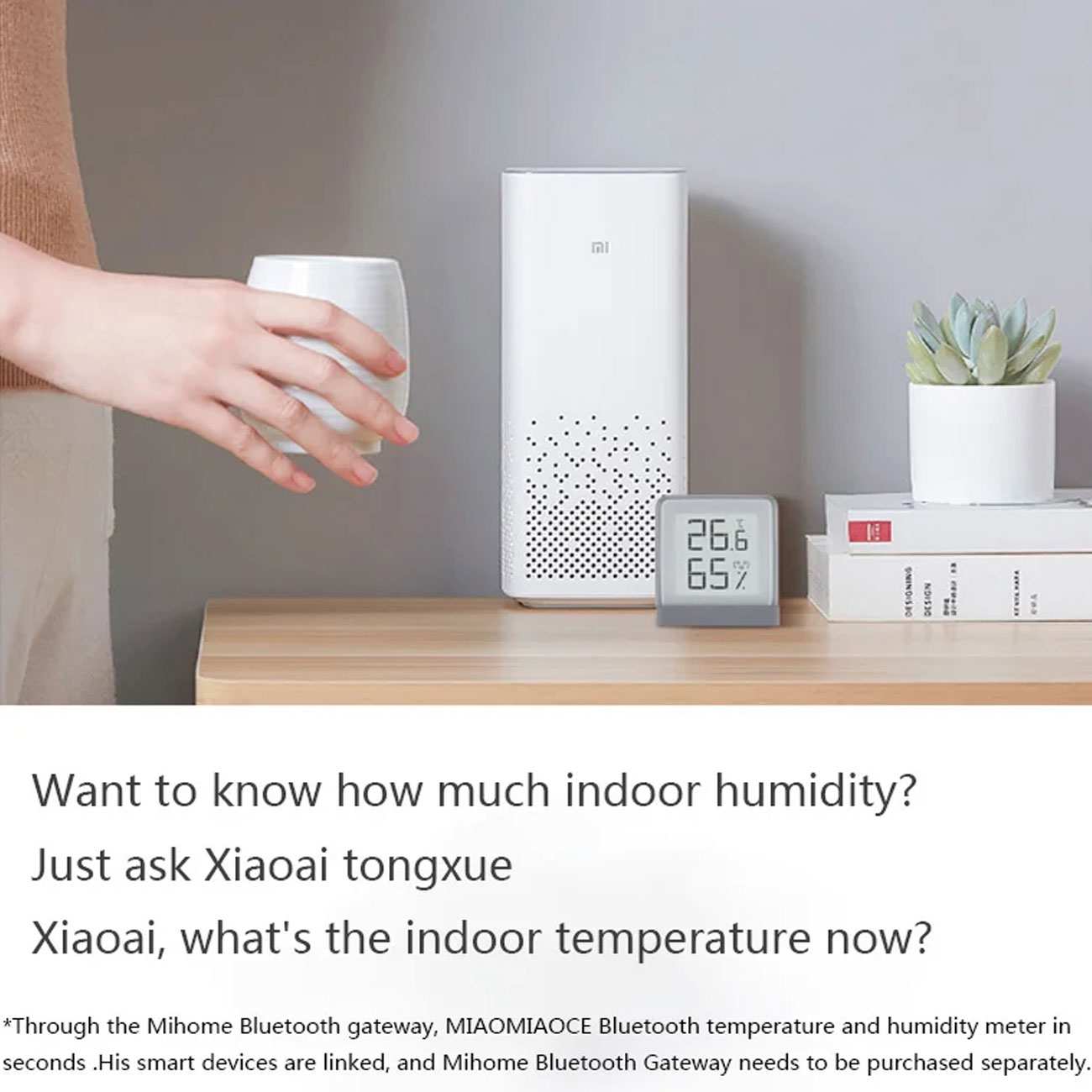 دماسنج و رطوبت سنج شیائومی MHO-C401