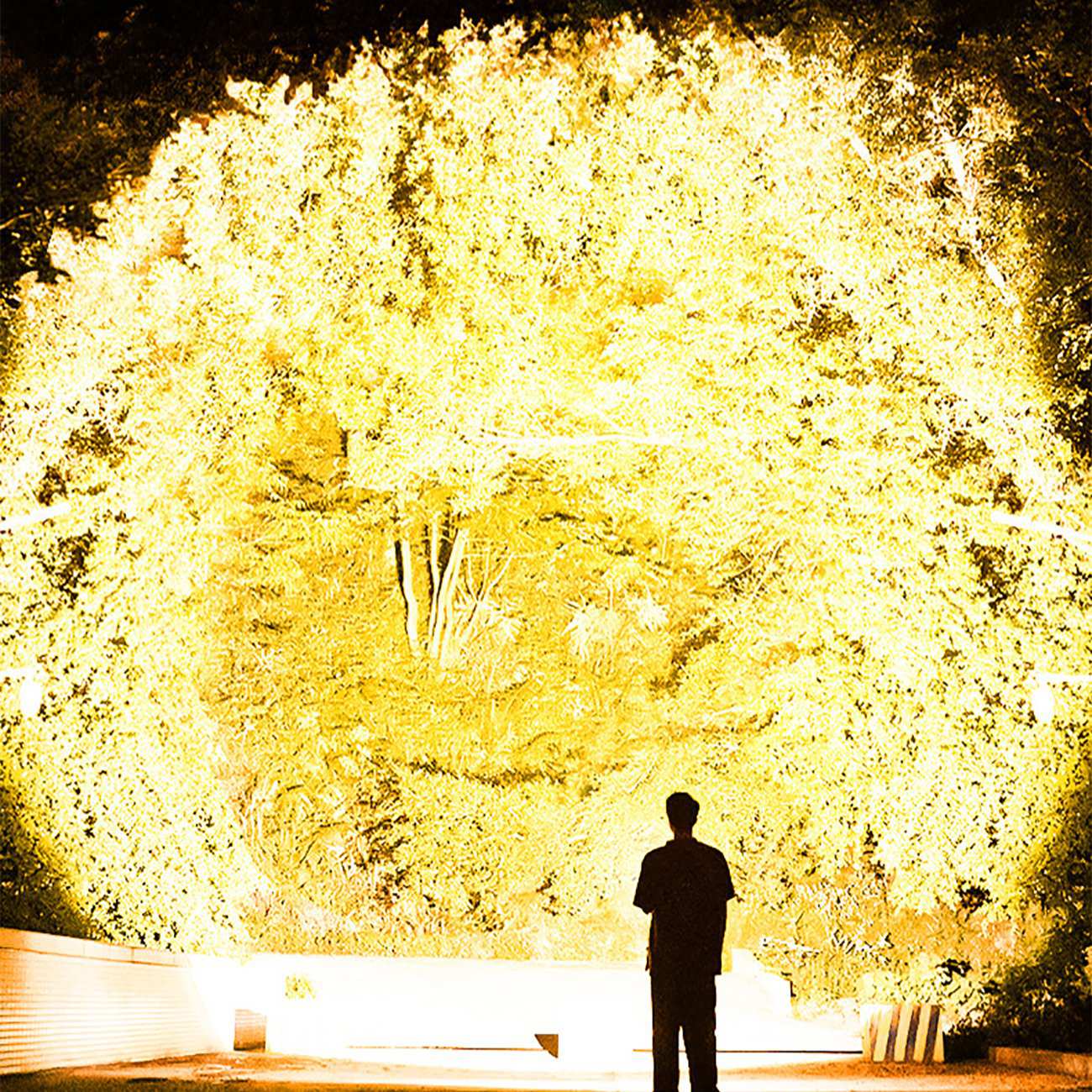 چراغ قوه شارژی و خورشیدی اسمایلینک شارک ST5123P90-B