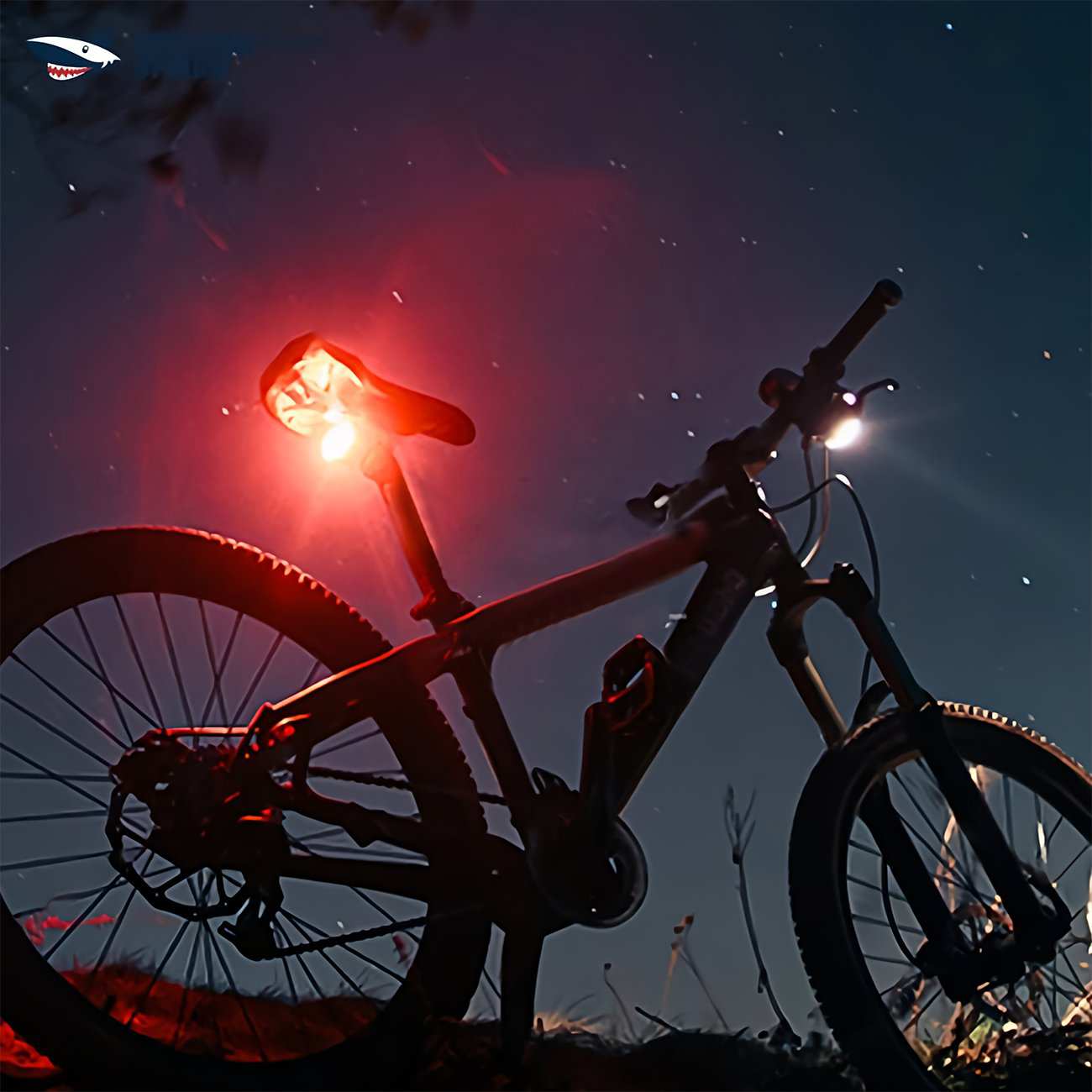 چراغ عقب شارژی ضدآب دوچرخه اسمایلینگ شارک CW-D400