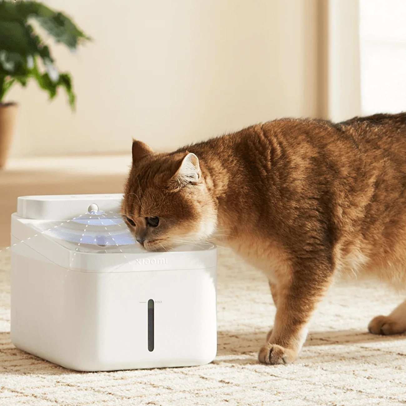 ظرف آب هوشمند بی سیم حیوانات خانگی میجیا شیائومی MJCWYSJ03