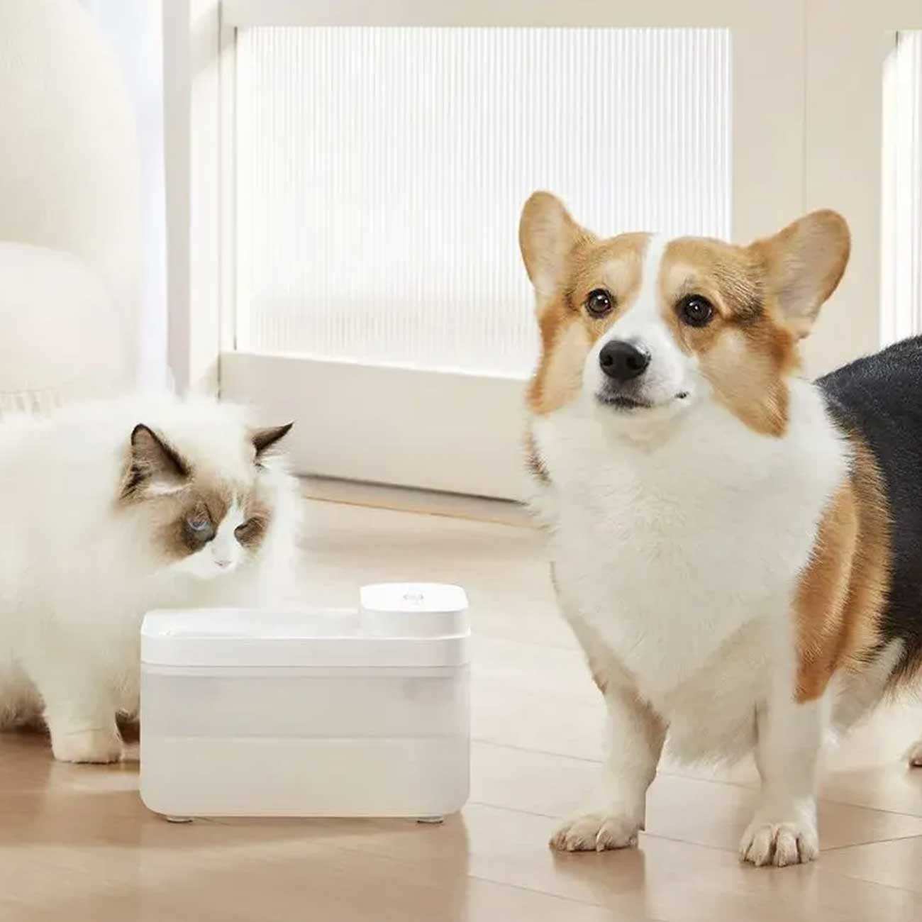 مجموعه فیلتر آبخوری هوشمند حیوانات خانگی مدل XWFE02MG میجیا شیائومی