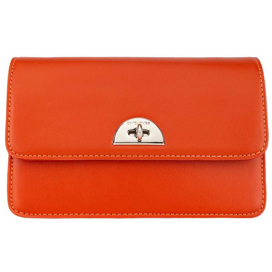 کیف دوشی مدل David Jones cm6005 دیوید جونز