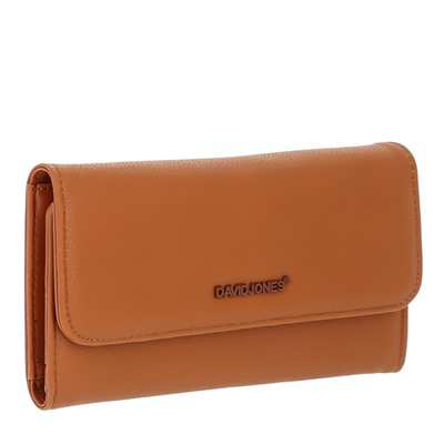 کیف پول مدل David Jones P107-352 دیوید جونز