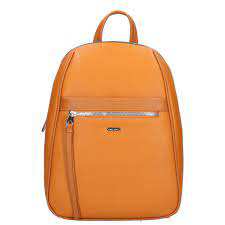 کوله پشتی مدل David Jones cm6025 دیوید جونز