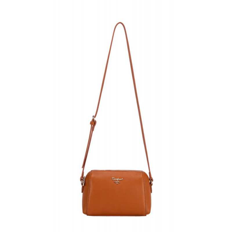 کیف دوشی مدل David Jones cm6070 دیوید جونز