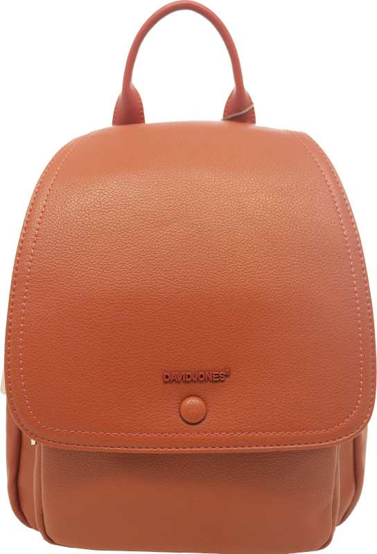 کوله پشتی مدل David Jones 6504-2 دیوید جونز