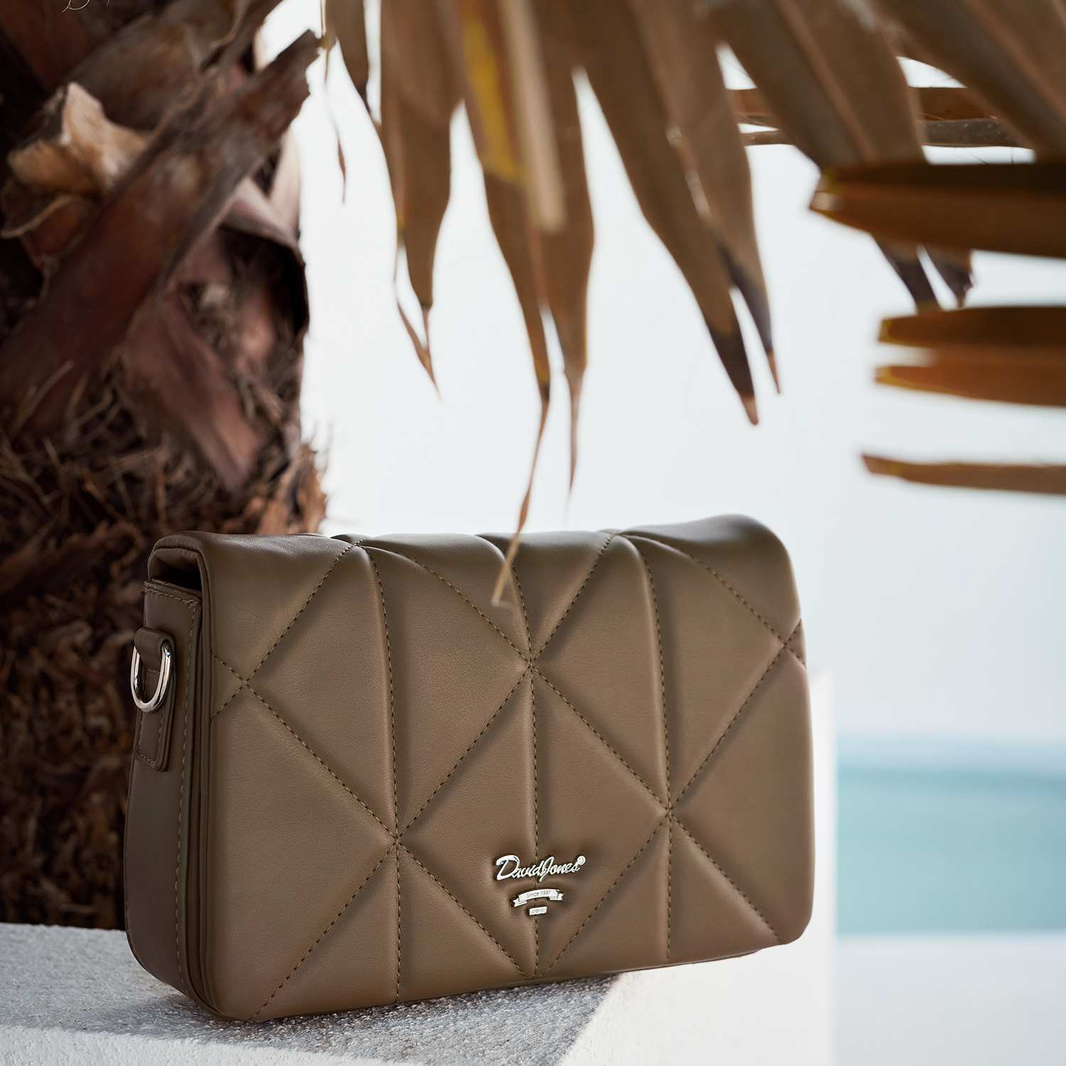 کیف دوشی مدل David Jones cm6218 دیوید جونز