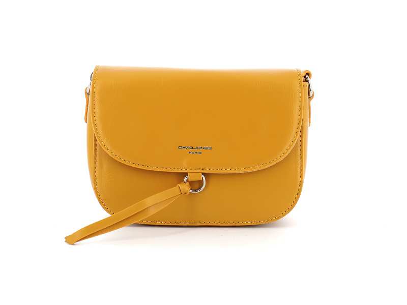 کیف دوشی مدل David Jones cm6242 دیوید جونز