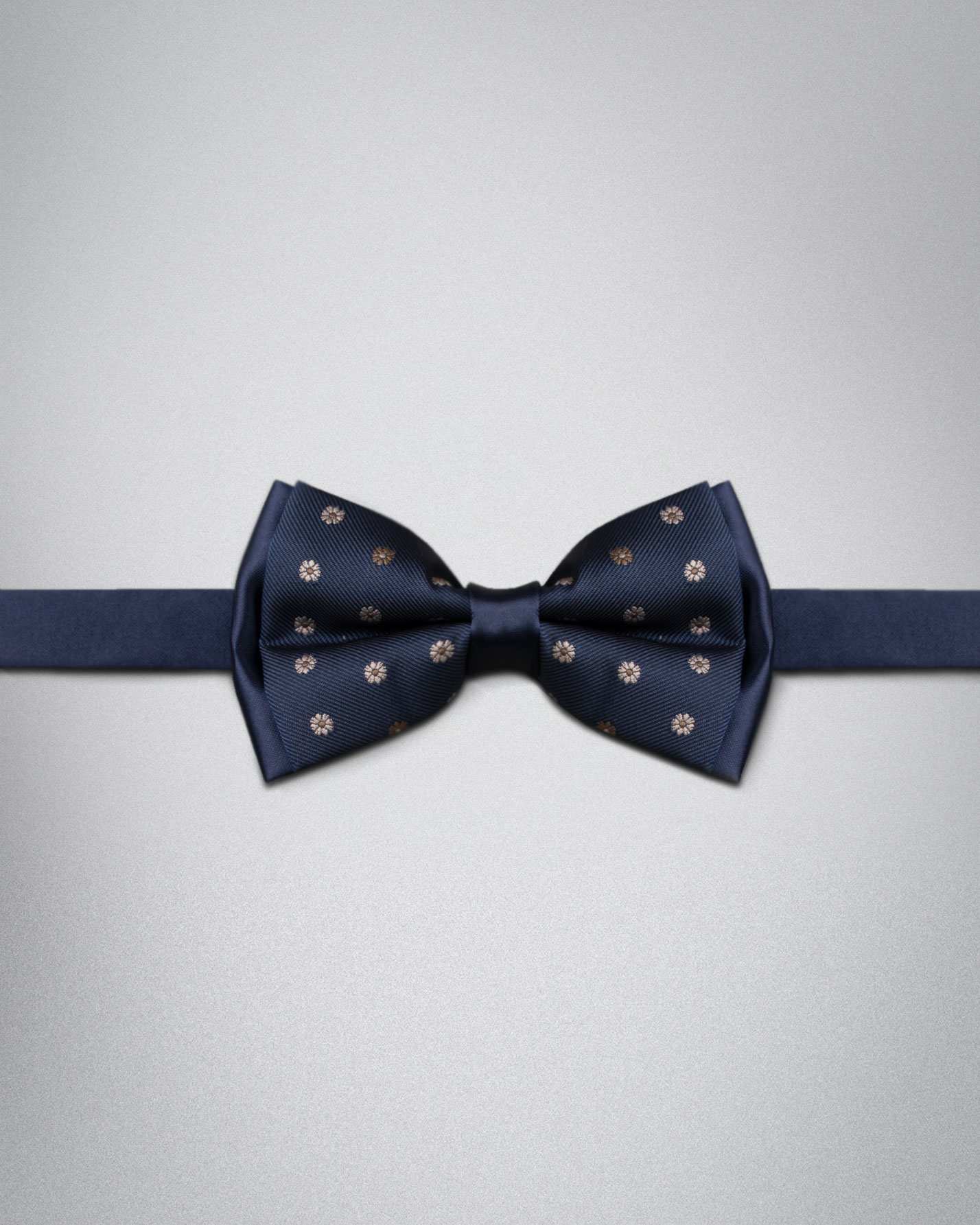 پاپیون مردانه کروم 4