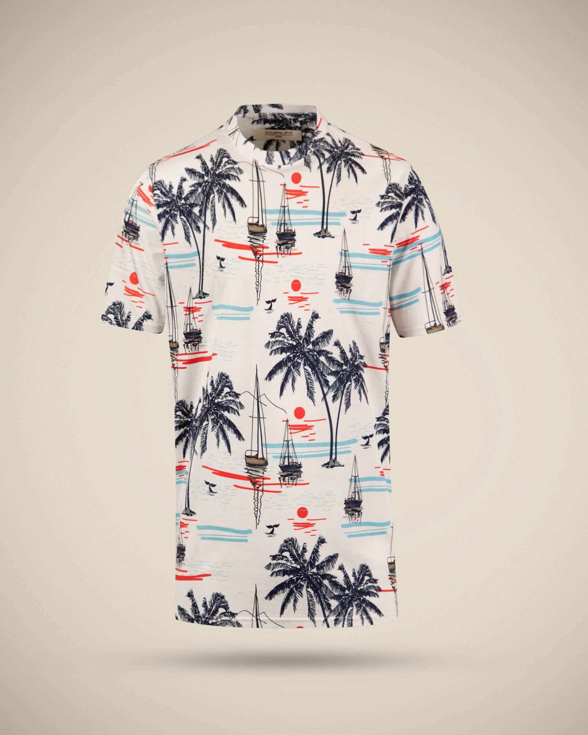 تی شرت طرح دار مردانه 2210602 کروم