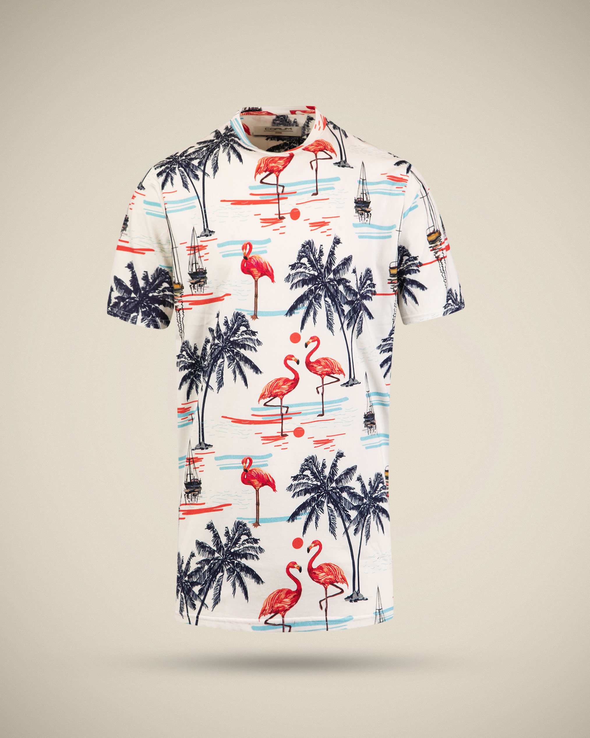 تی شرت طرح دار مردانه 2210609 کروم