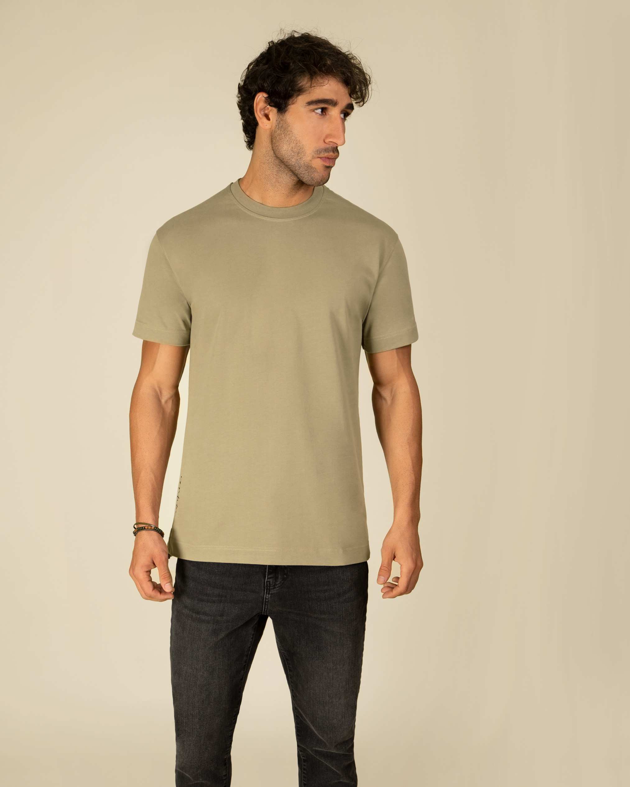 تی شرت یقه گرد مردانه 2210614 کروم