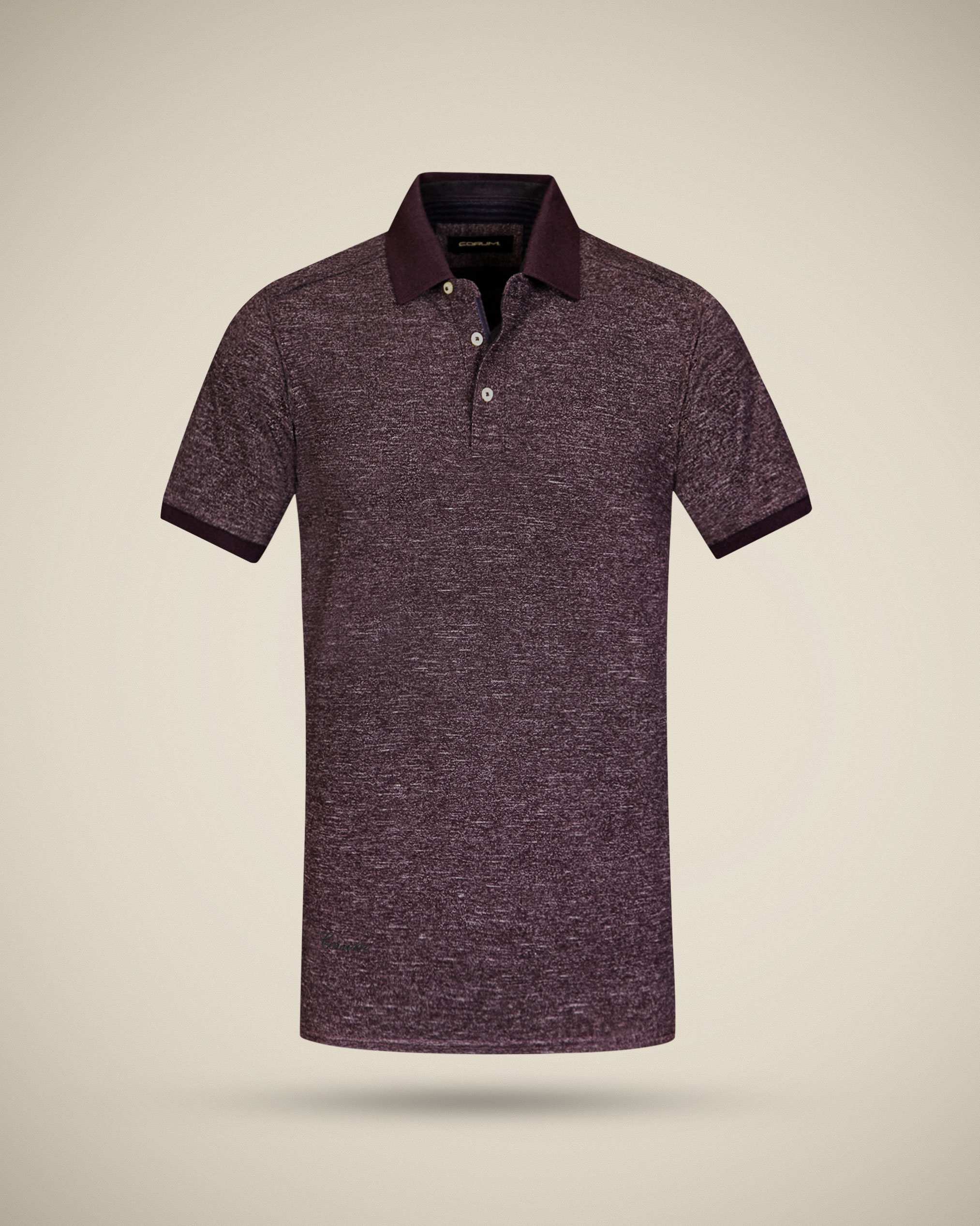 پولوشرت یقه کشبافت 2212315 کروم