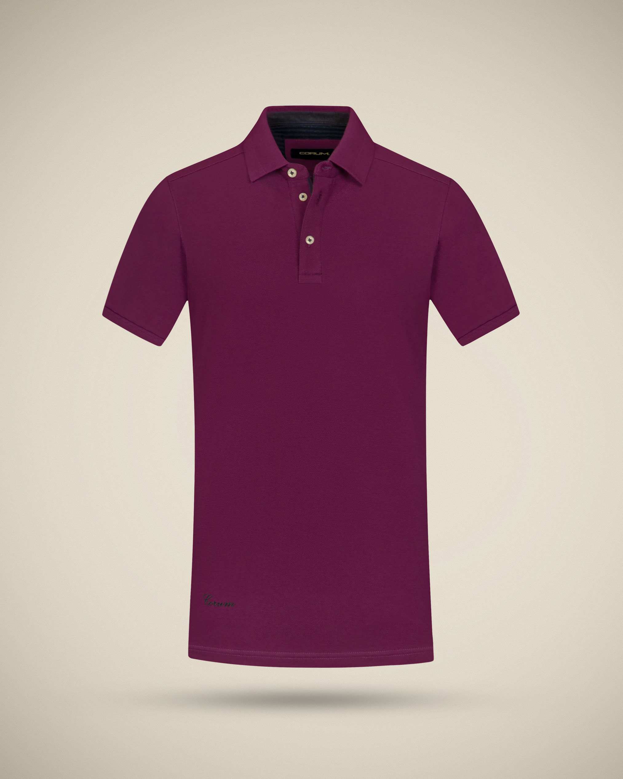 پولوشرت یقه کشبافت 2212315 کروم