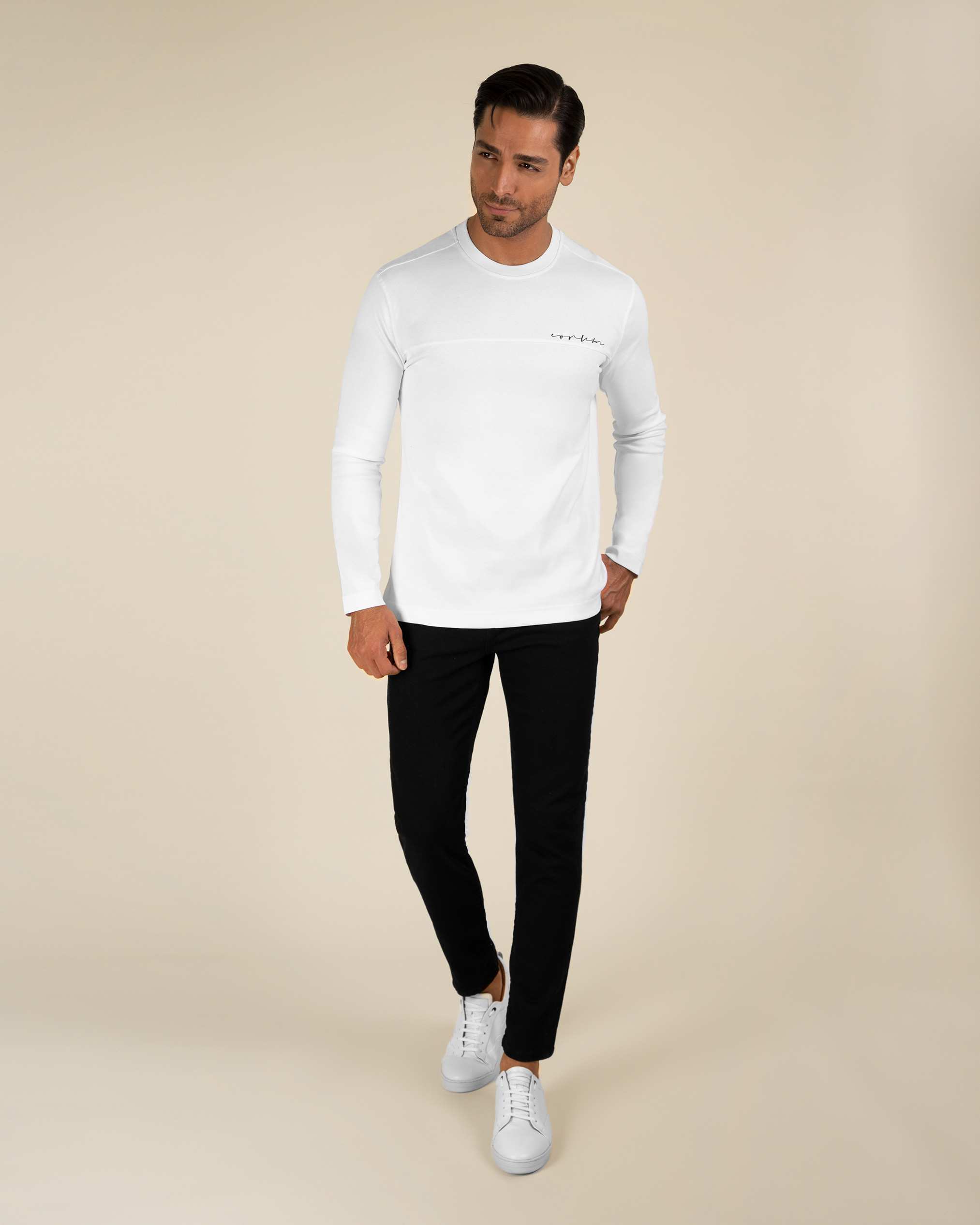 تی شرت آستین بلند مردانه 2220903 کروم