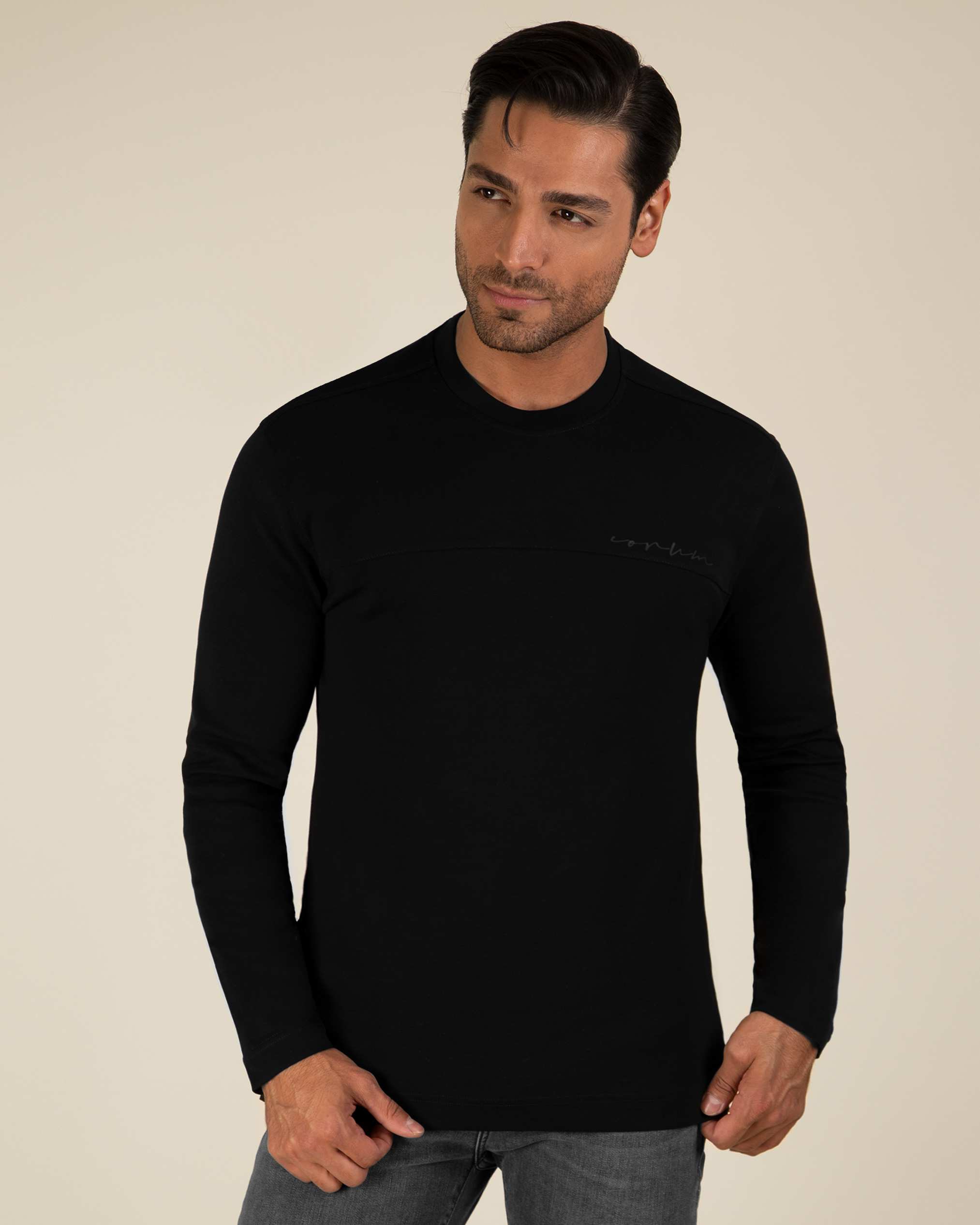 تی شرت آستین بلند مردانه 2220903 کروم