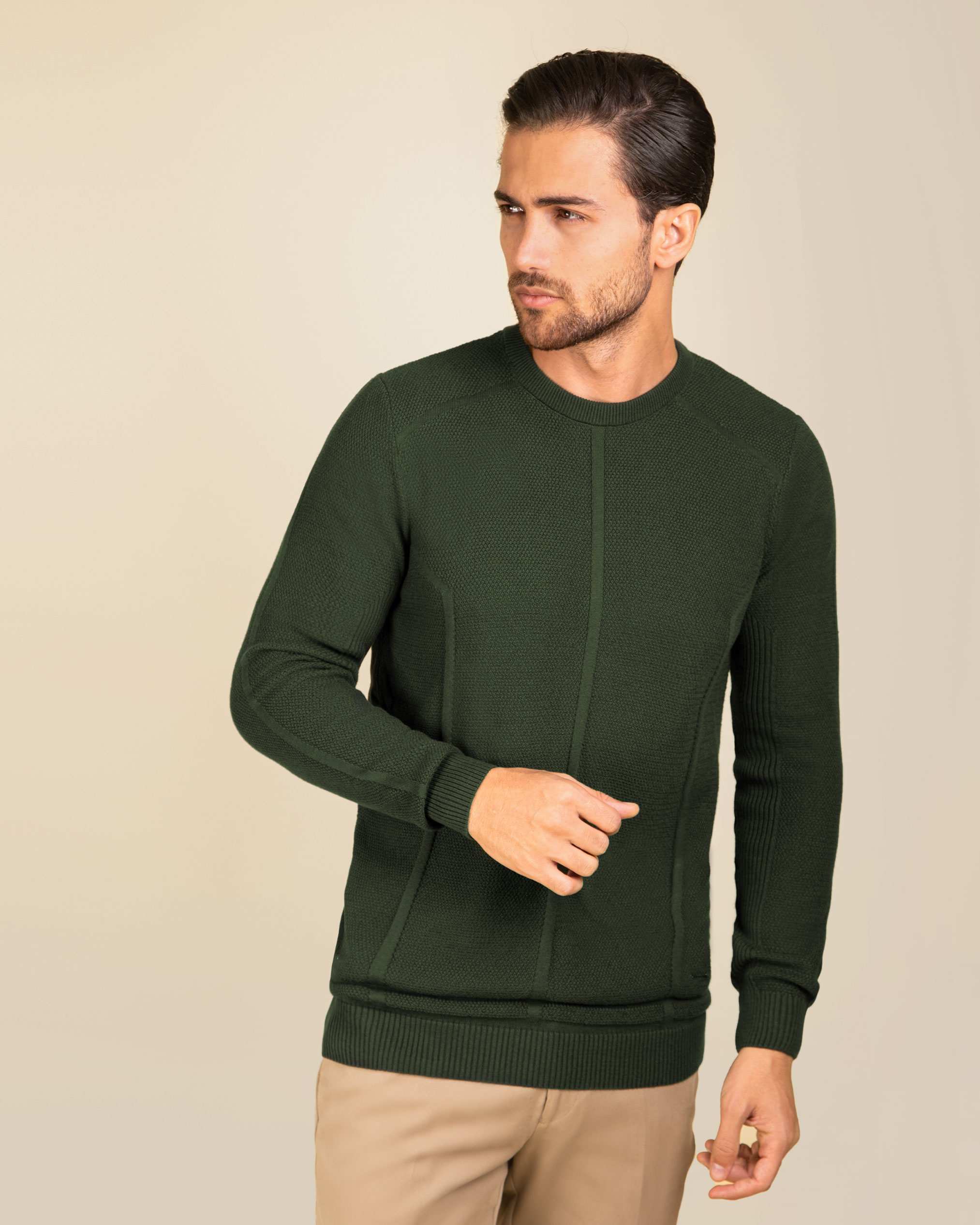 پلیور یقه گرد مردانه 2221001 کروم