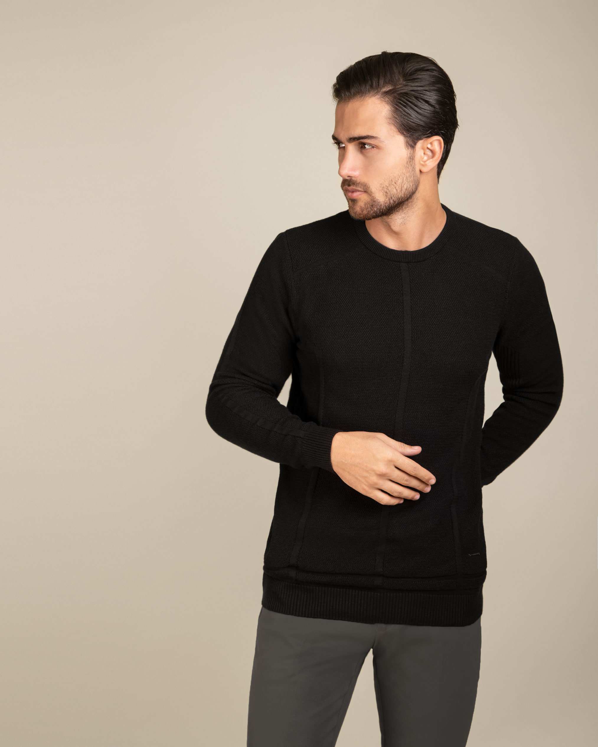 پلیور یقه گرد مردانه 2221001 کروم