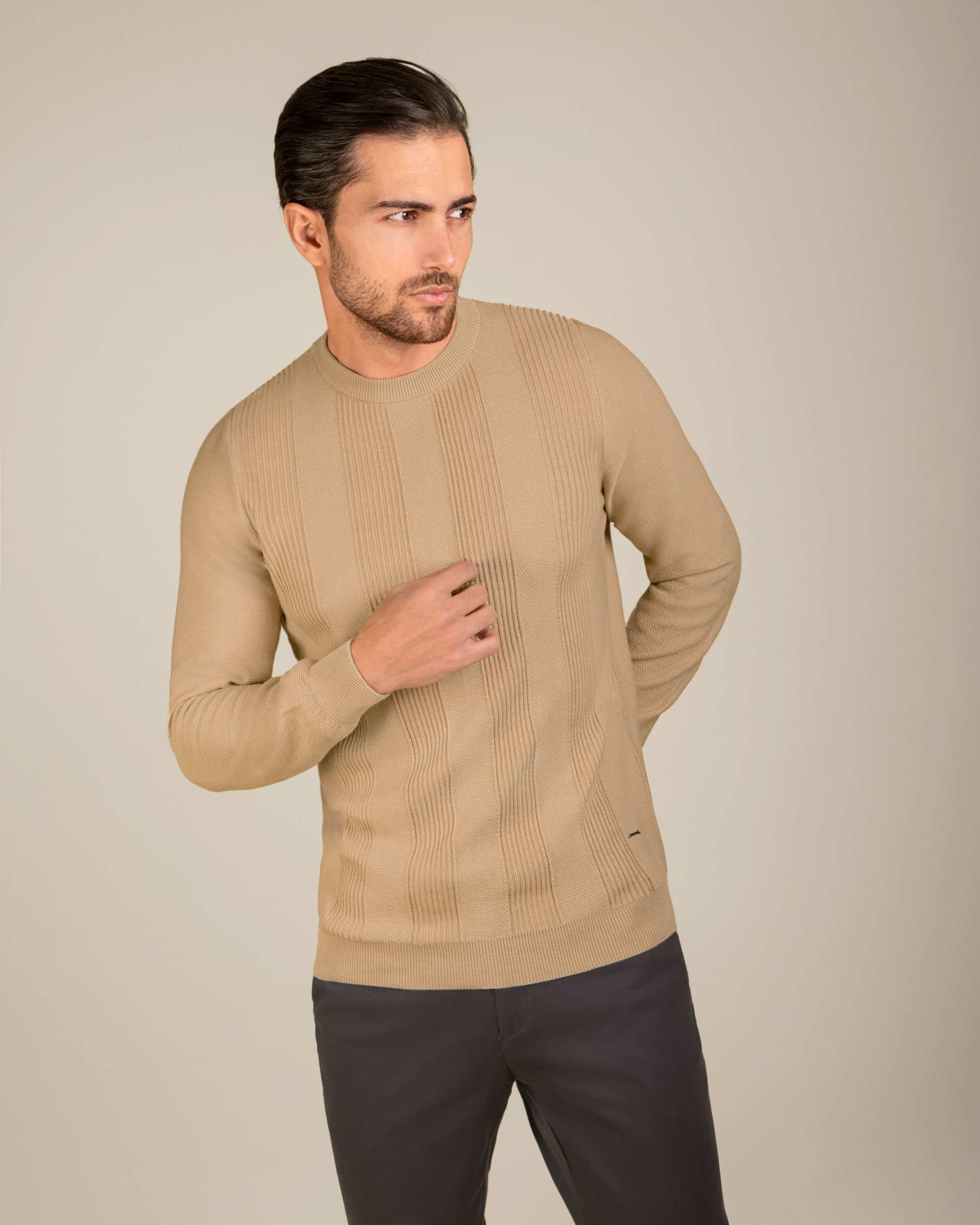 پلیور یقه گرد مردانه 2221004 کروم