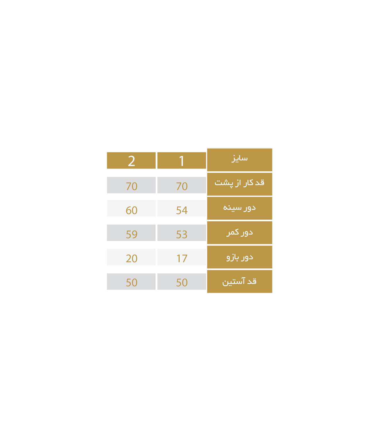 شومیز زنانه مدل 2367 ریسانی Rissani