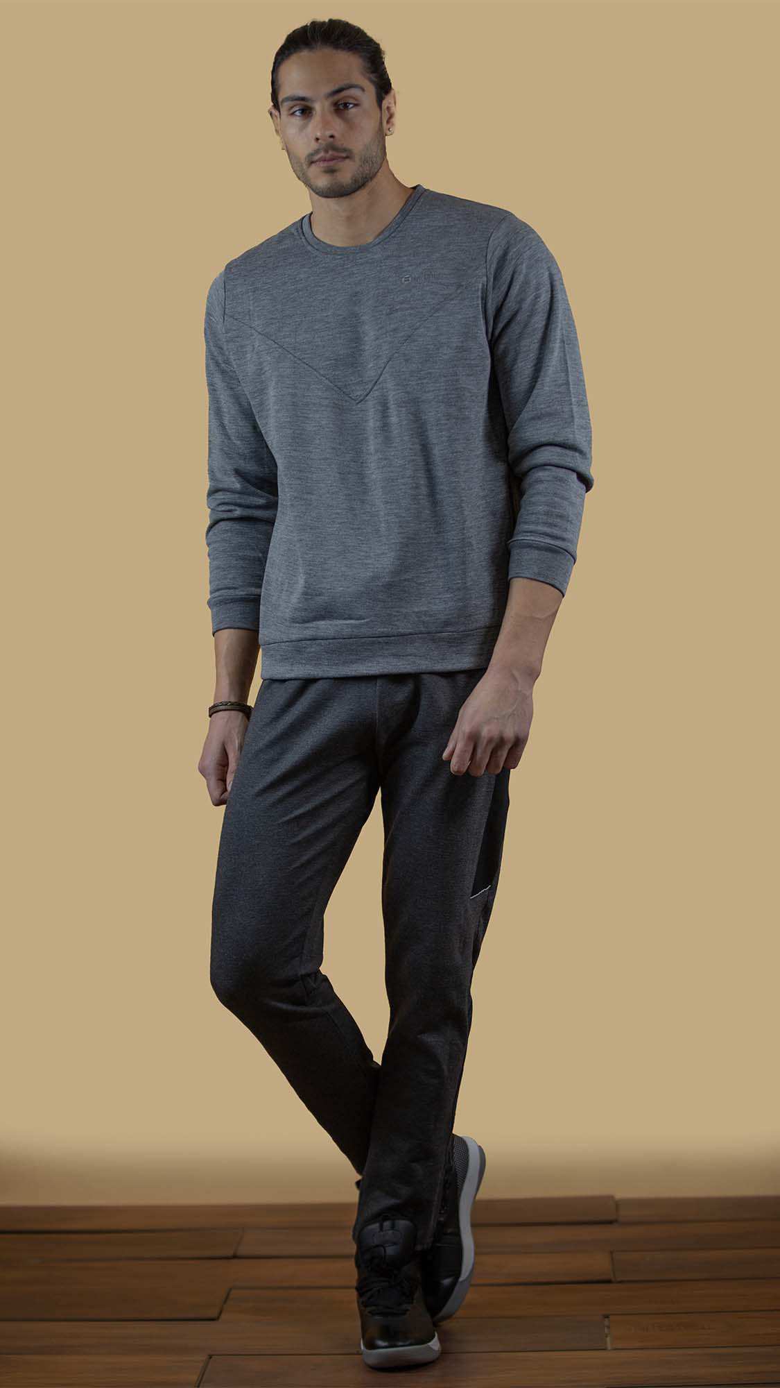 سویشرت ورزشی مردانه 300035 برندس Brands