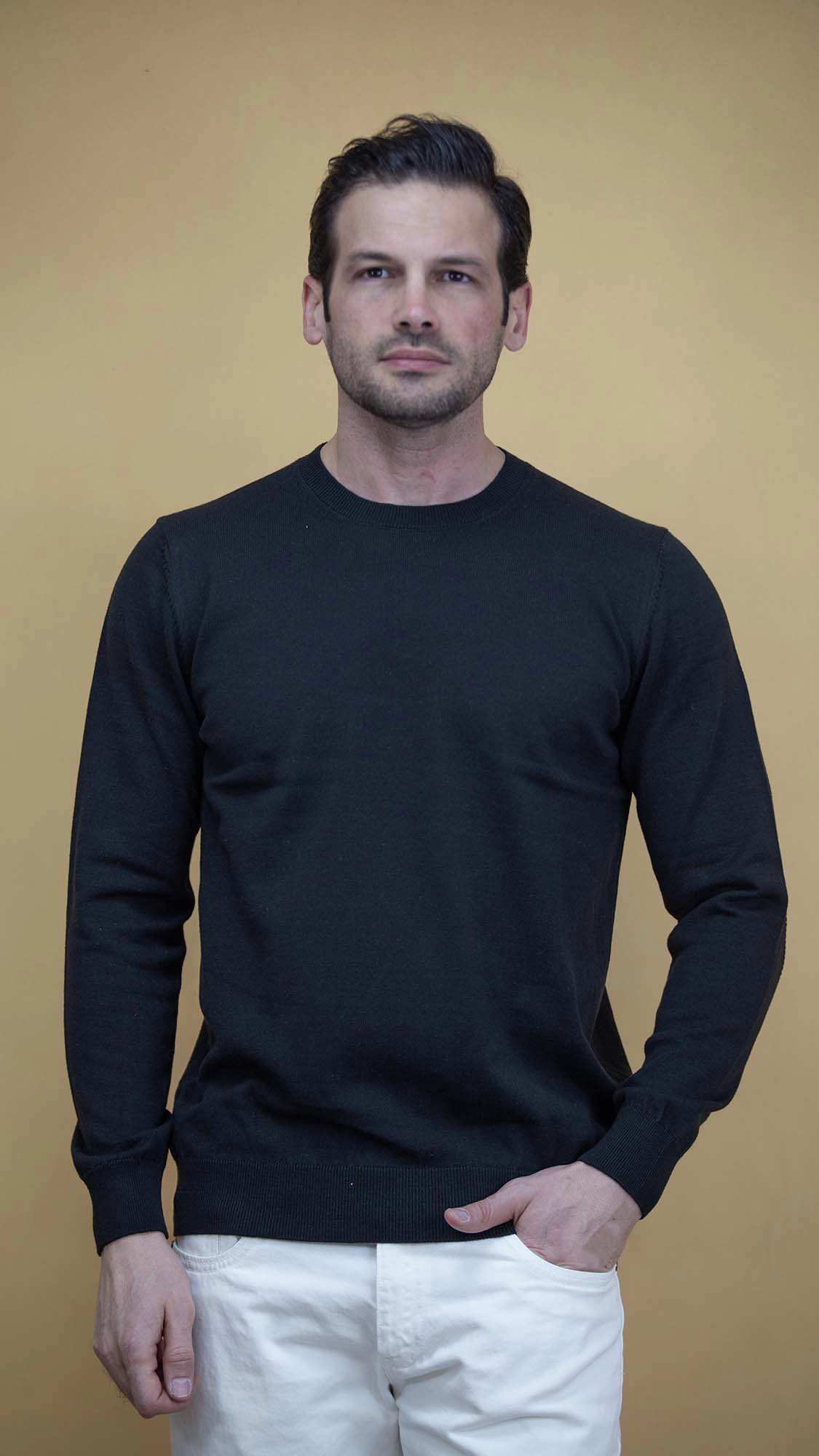 پلیور مردانه 5928 برندس Brands