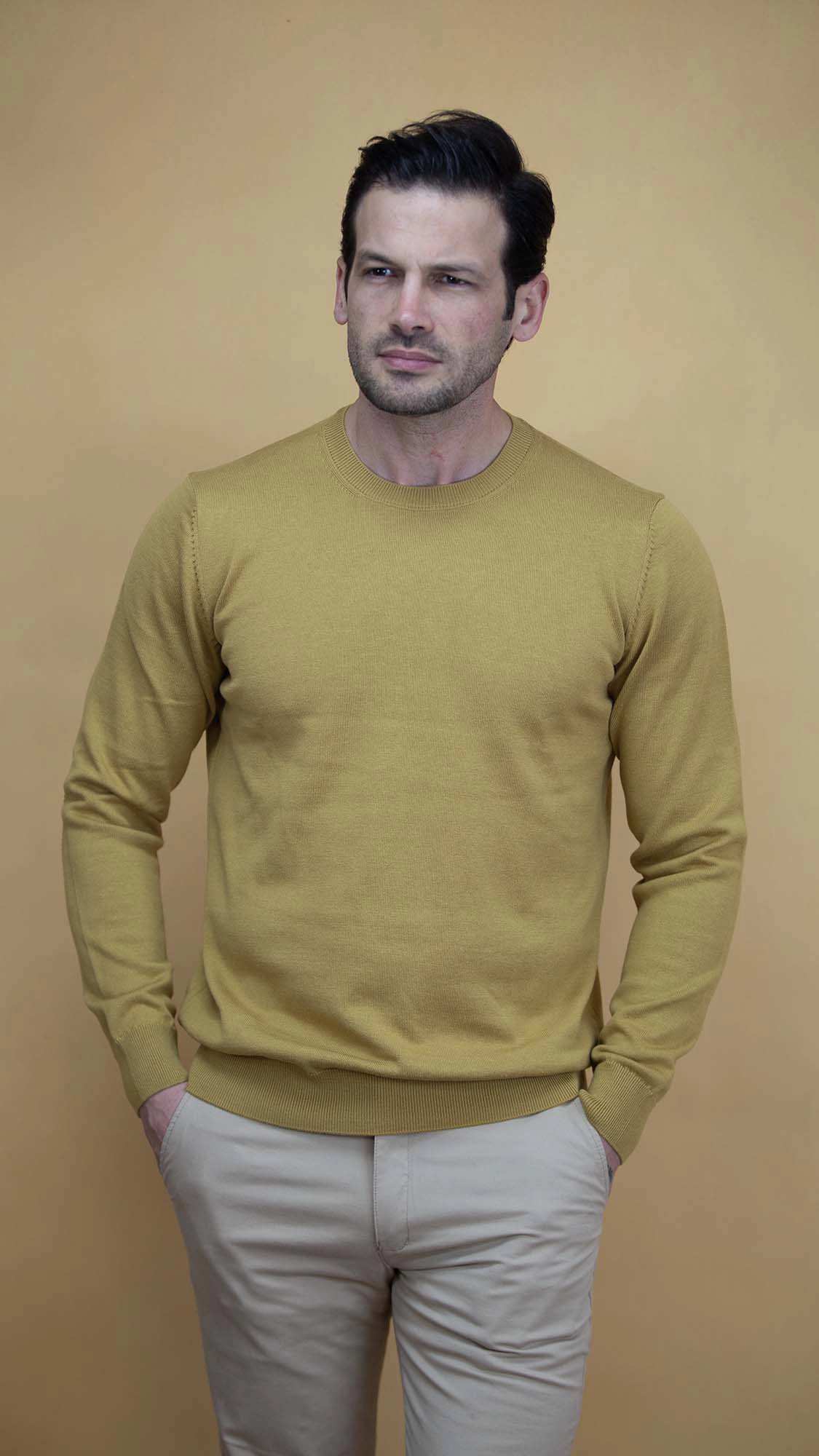 پلیور مردانه 5928 برندس Brands