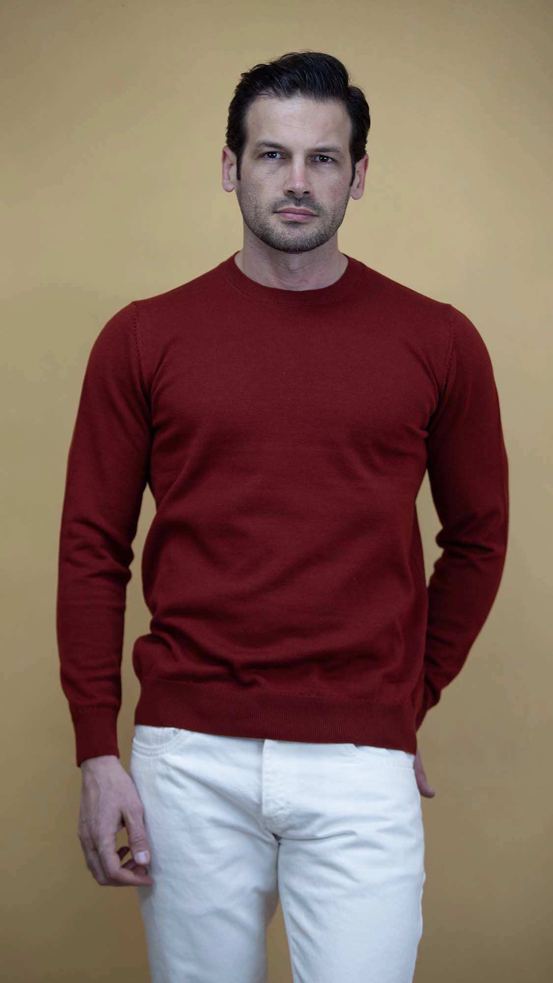 پلیور مردانه 5928 برندس Brands