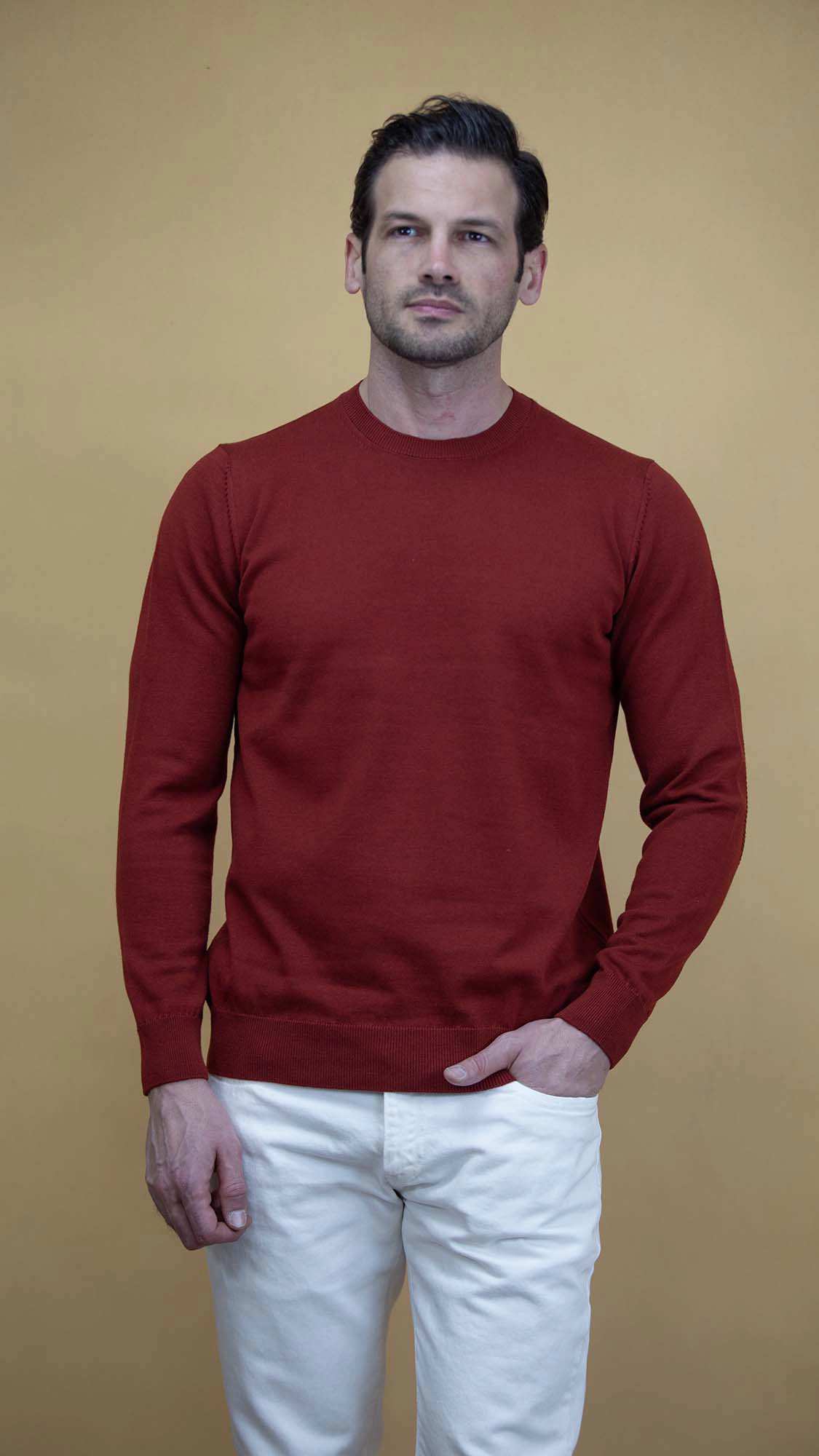 پلیور مردانه 5928 برندس Brands