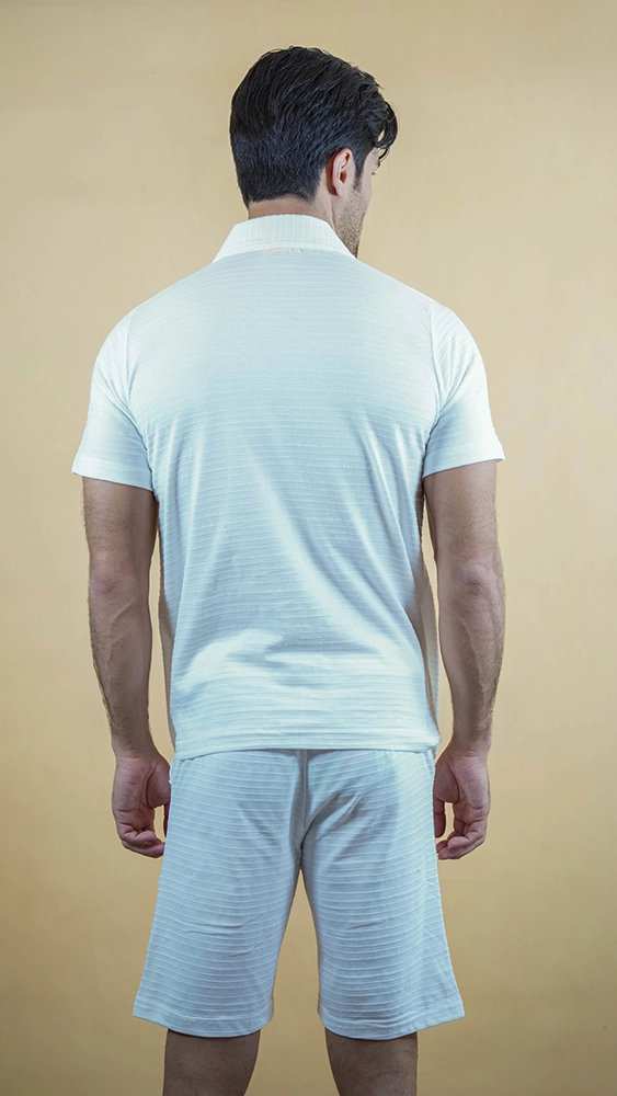 پولوشرت ورزشی مردانه 300064 برندس Brands