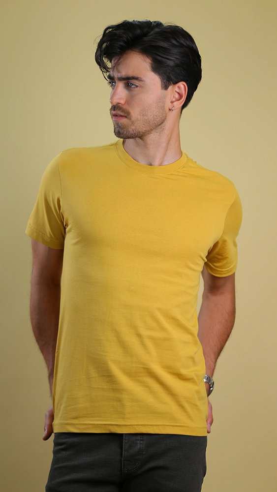 تی شرت مردانه 70081 برندس Brands