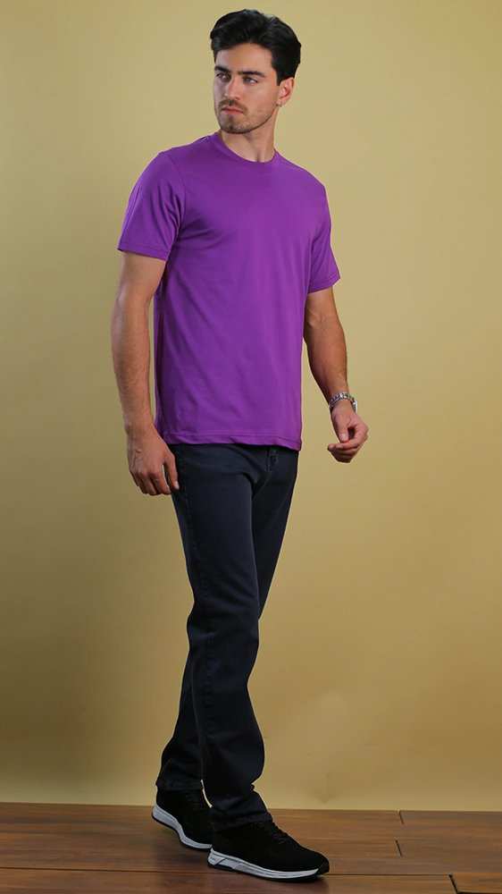 تی شرت مردانه 70081 برندس Brands