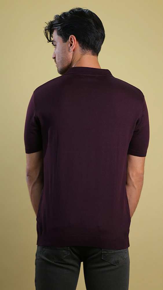 پولوشرت مردانه 5947 برندس Brands