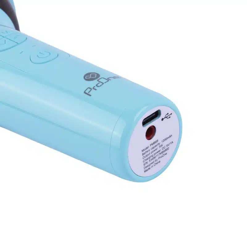 میکروفون اسپیکر بیسیم پرووان مدل PMB68