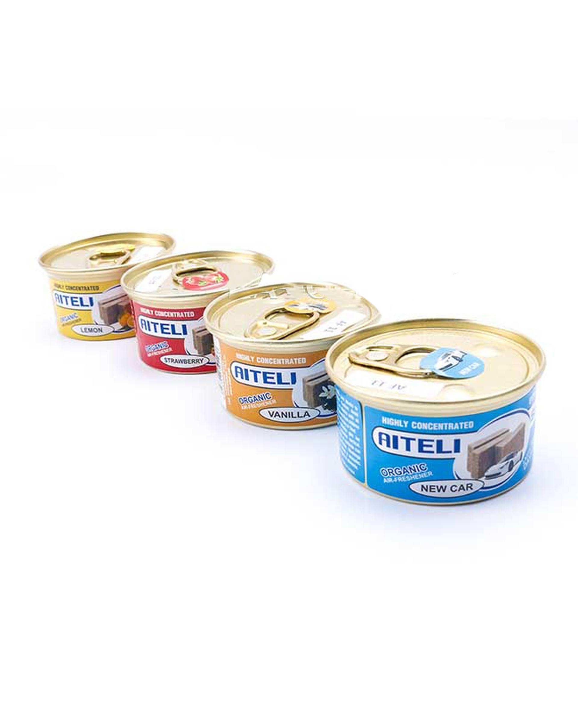 بوگیر کنسروی ماشین