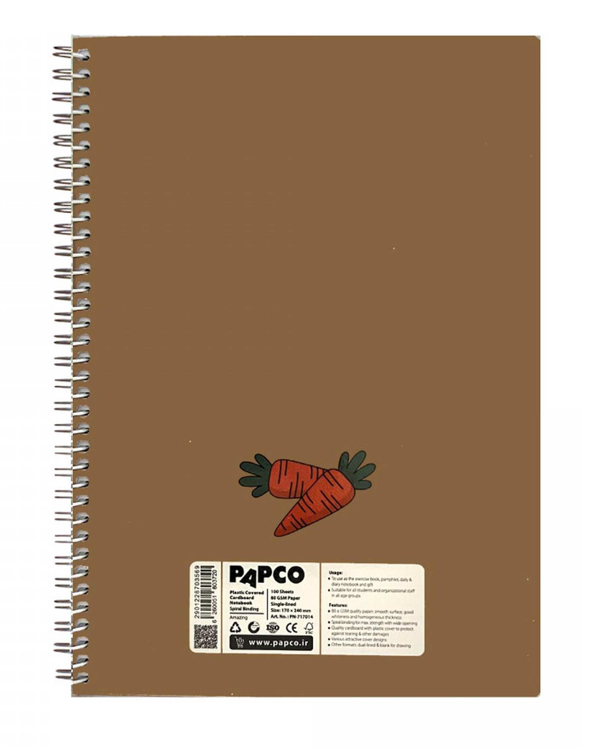 دفتر مشق سیمی 100 برگ پاپکو Papco کد PN-717014