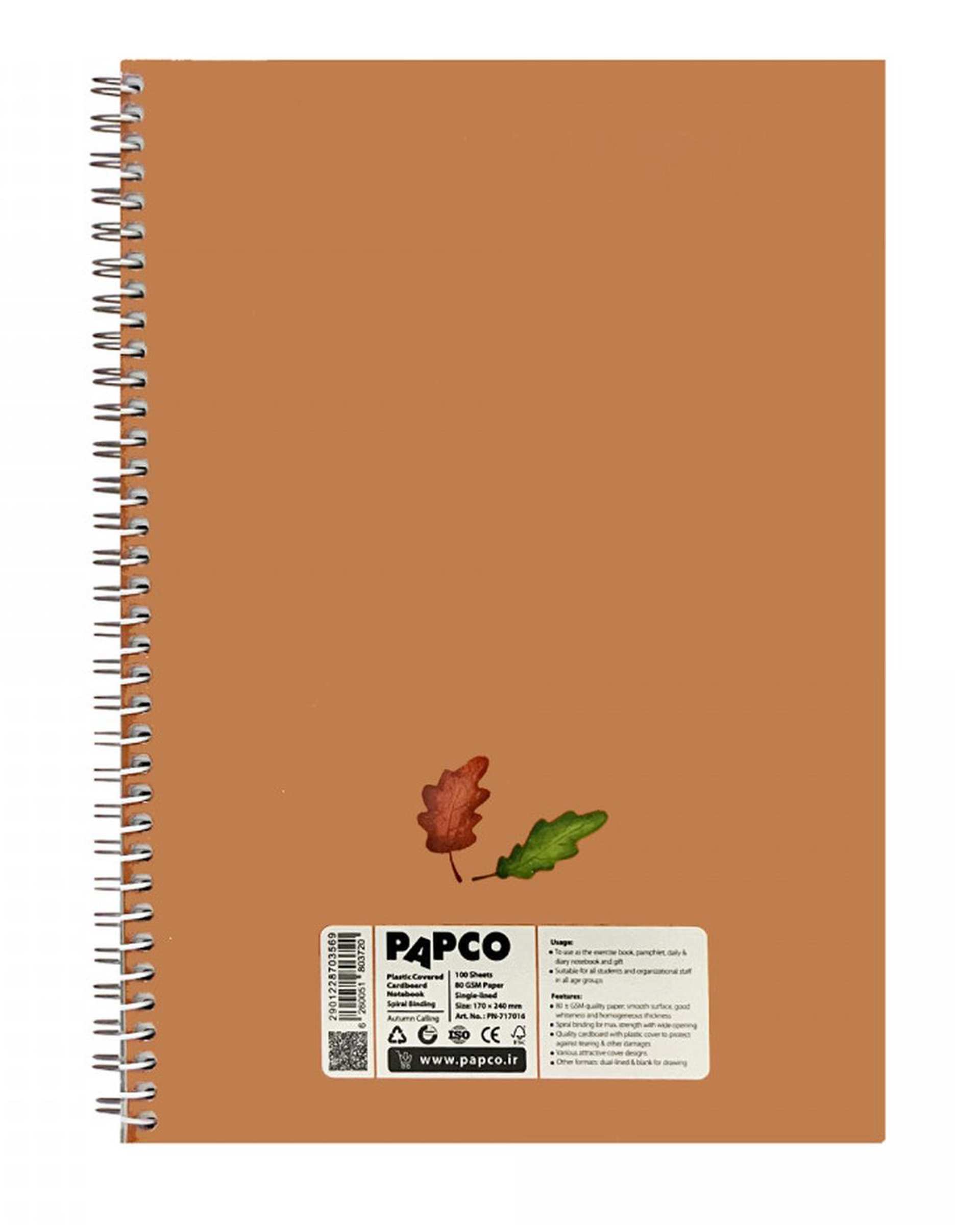 دفتر مشق سیمی 100 برگ پاپکو Papco کد PN-717016
