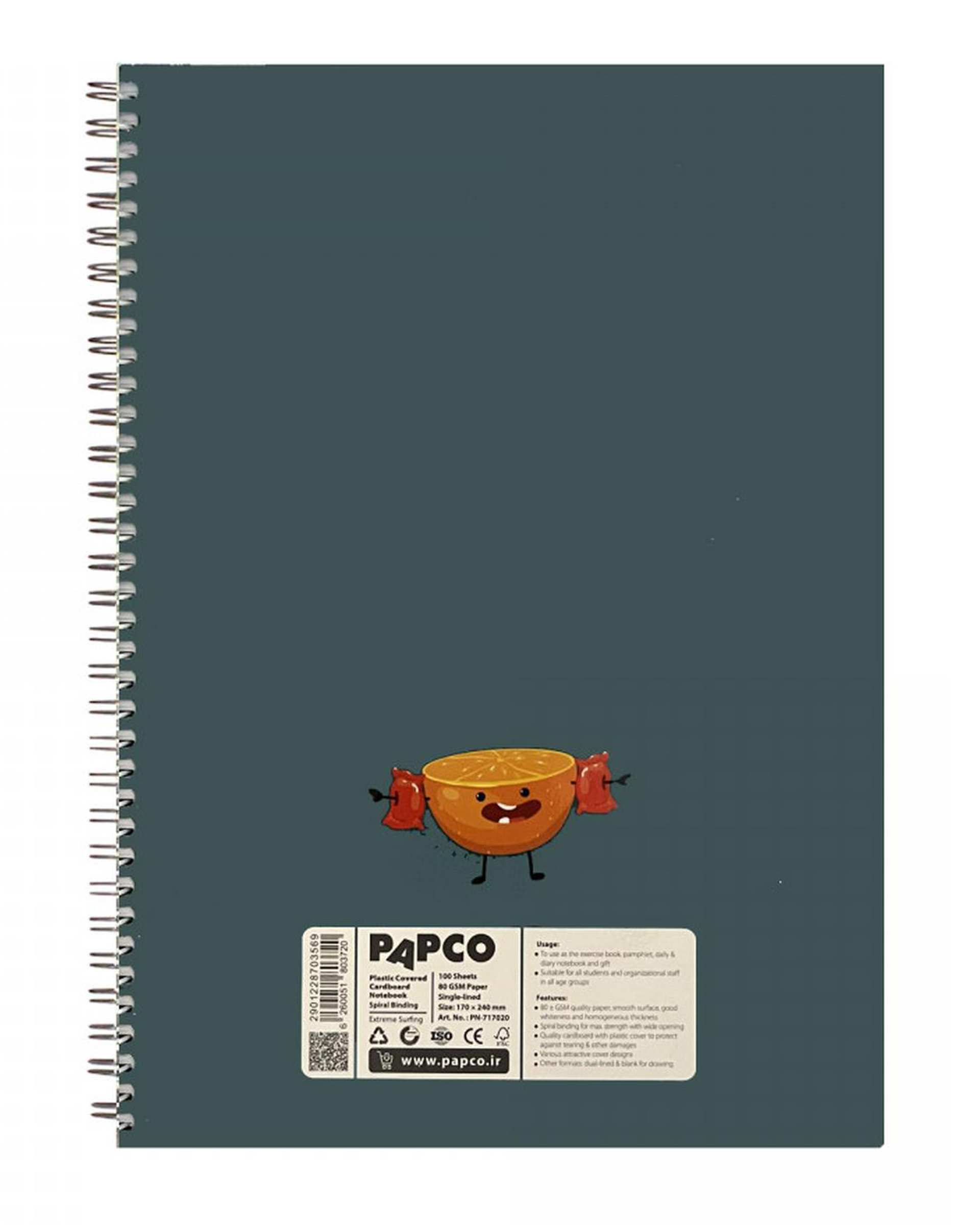 دفتر مشق سیمی 100 برگ پاپکو Papco کد PN-717020
